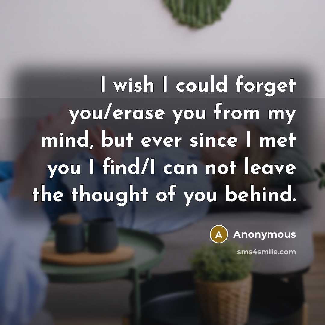 “I wish I could forget you/erase you from my mind, but ever since I met you I find/I can not leave the thought of you behind.” quote by Anonymous