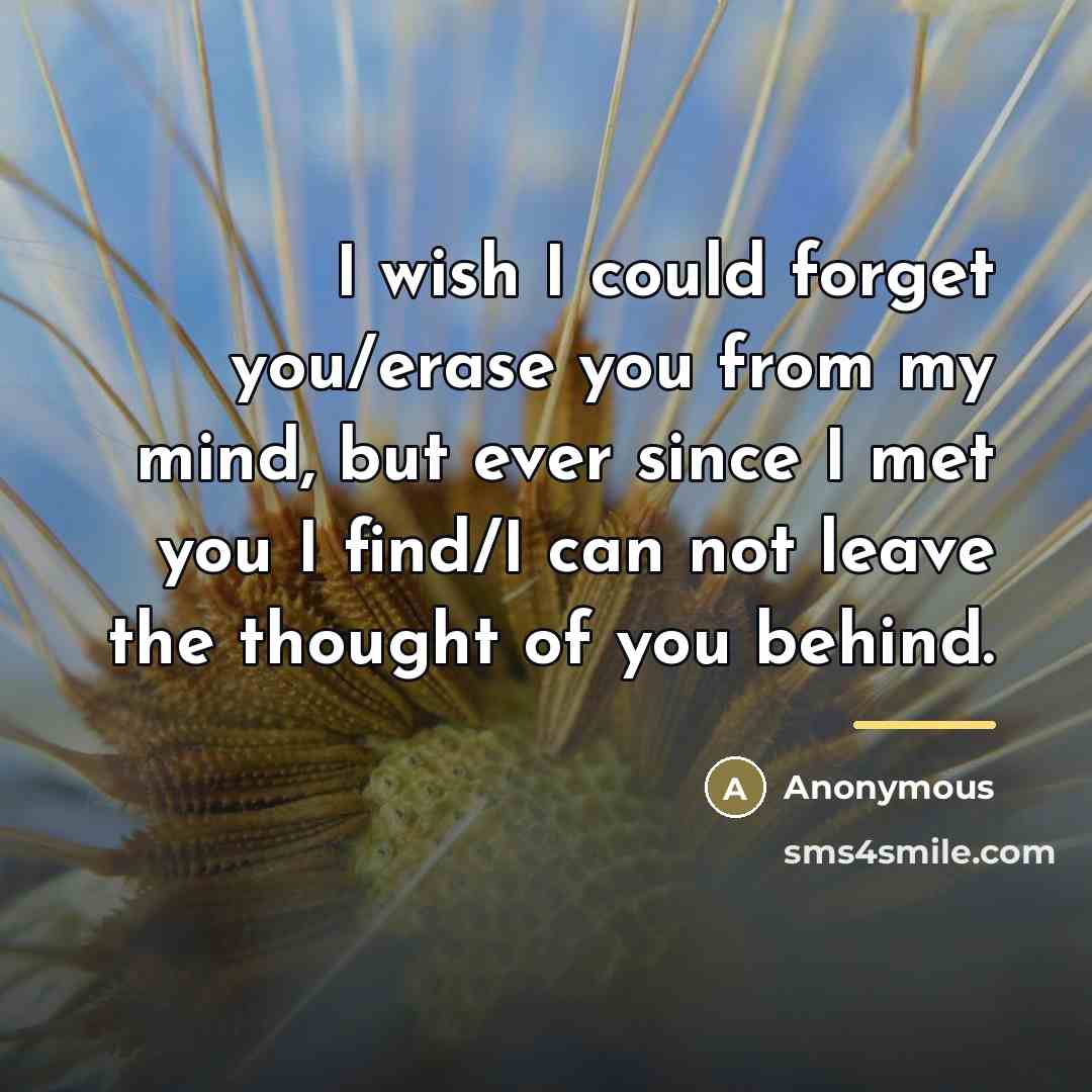 “I wish I could forget you/erase you from my mind,…” quote by Anonymous