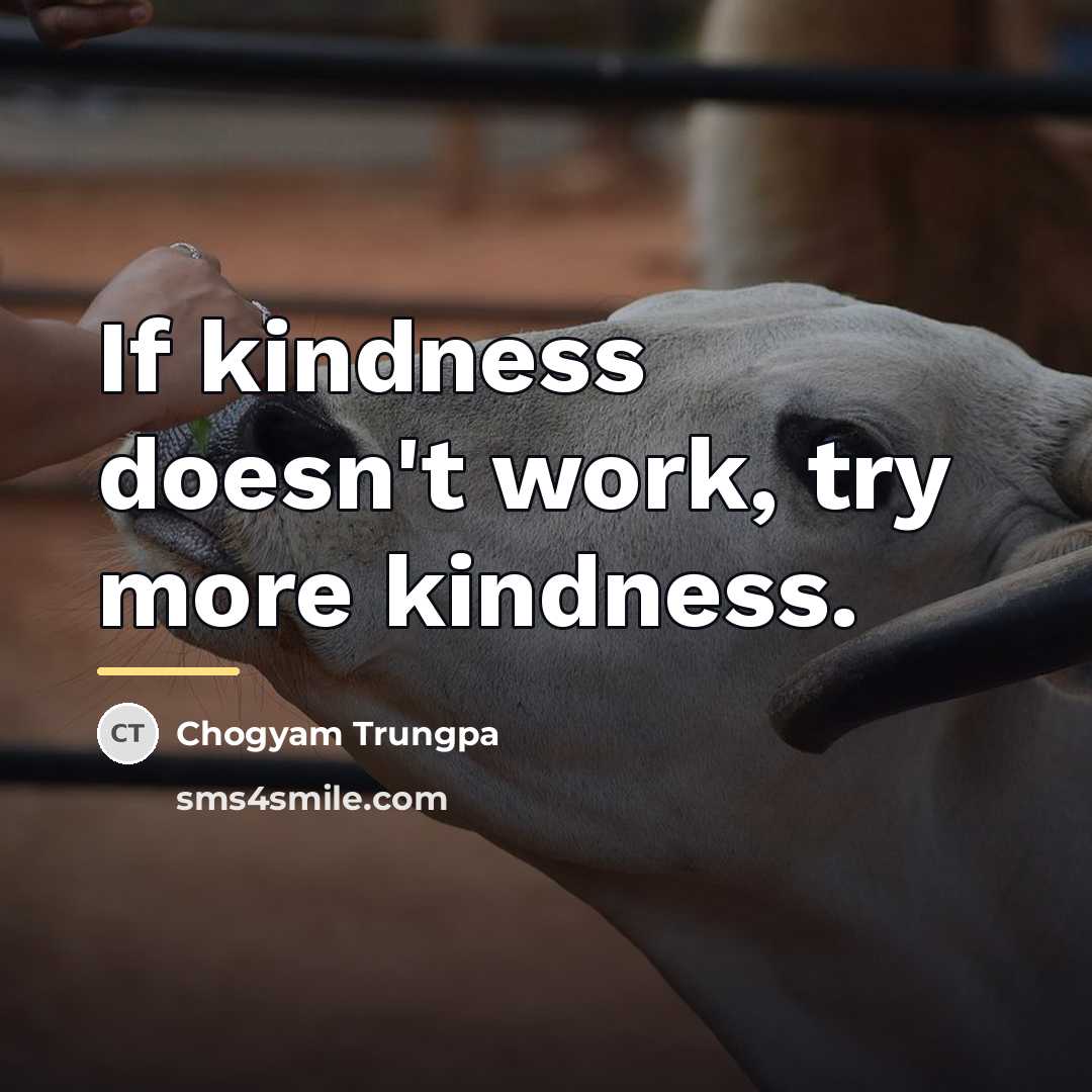 “If kindness doesn't work, try more kindness.…” quote by Chogyam Trungpa