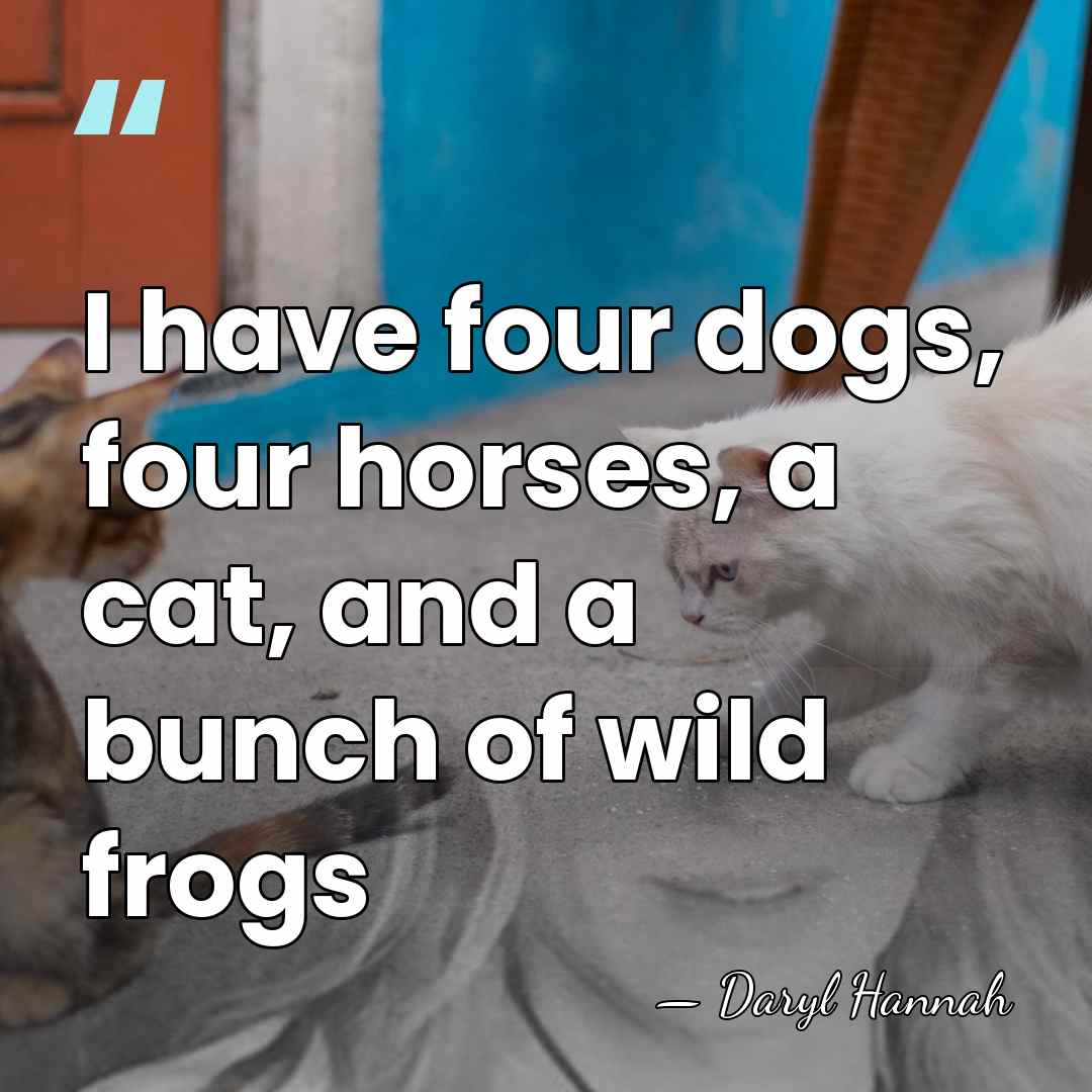 I have four dogs, four horses, a cat, and a bunch of&hellip; - Daryl Hannah