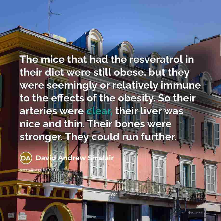 “The mice that had the resveratrol in their diet were…” quote by David Andrew Sinclair