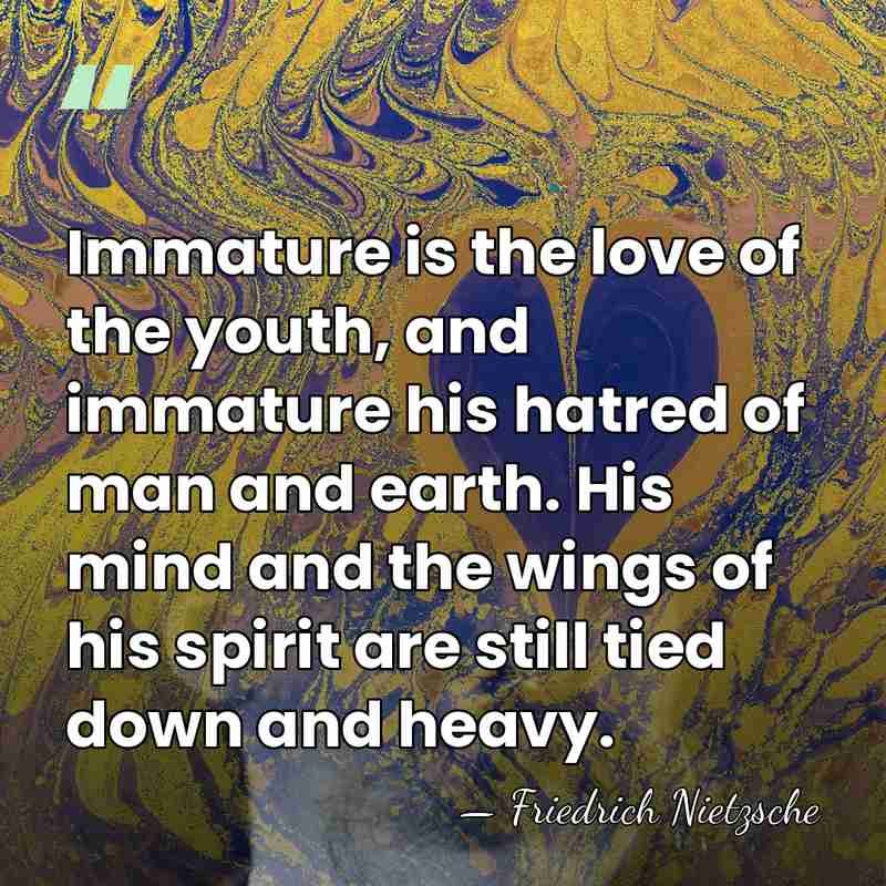 Immature is the love of the youth, and immature his hatred of&hellip; - Friedrich Nietzsche