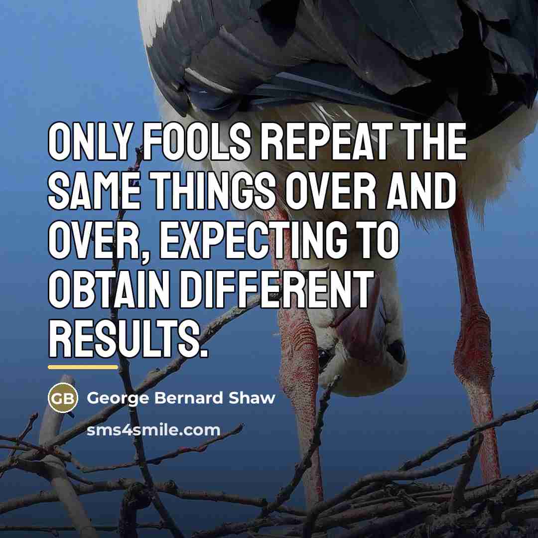 “Only fools repeat the same things over and over, expecting…” quote by George Bernard Shaw