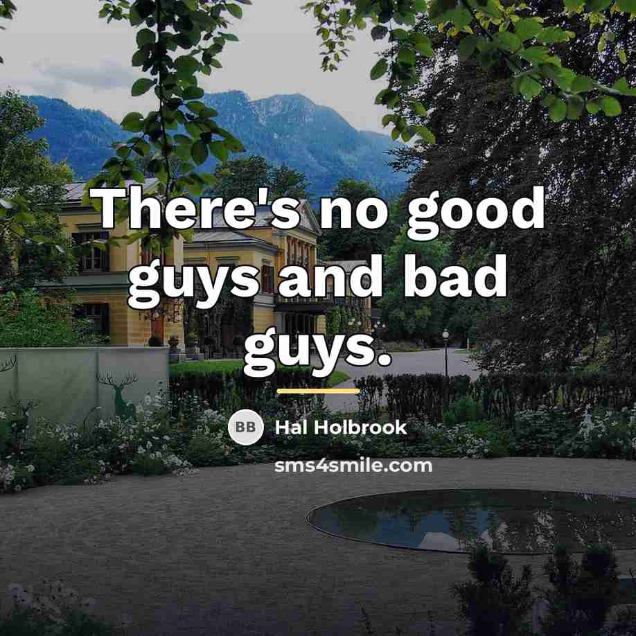 “There's no good guys and bad guys.…” quote by Hal Holbrook