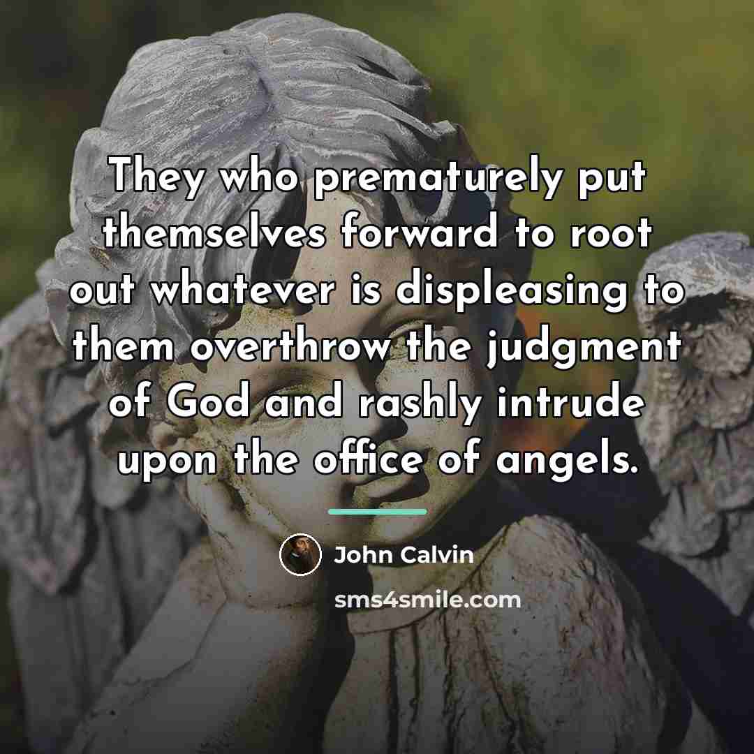 “They who prematurely put themselves forward to root out whatever…” quote by John Calvin