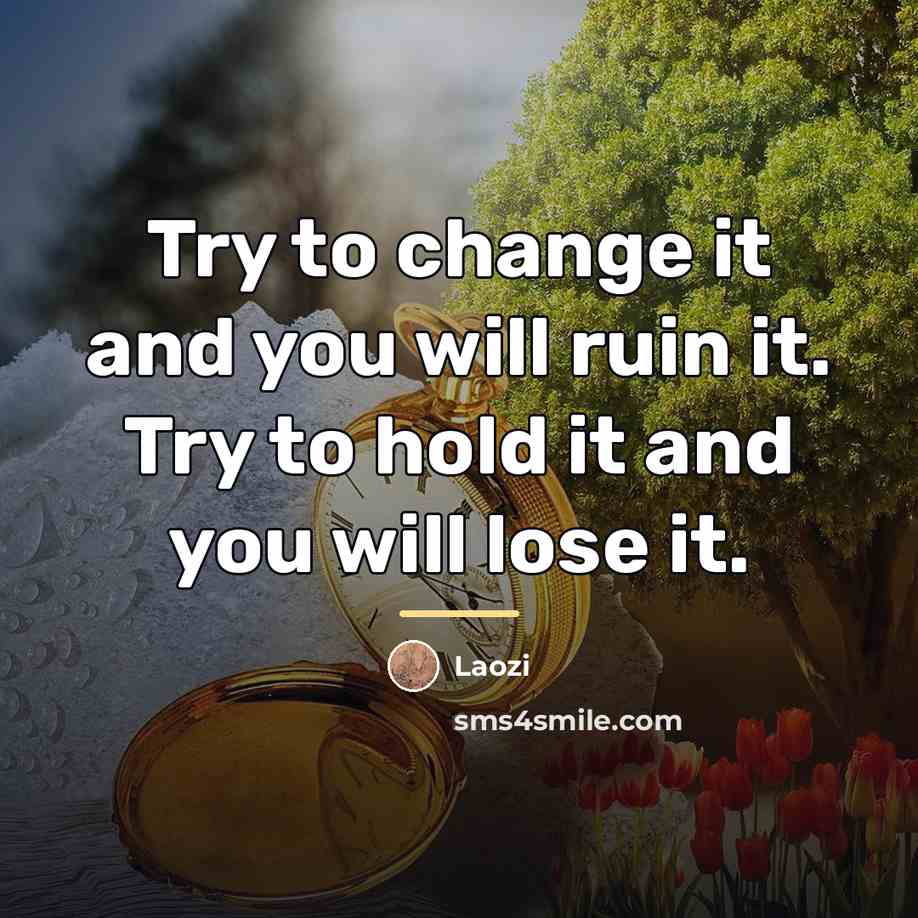 “Try to change it and you will ruin it. Try…” quote by Laozi