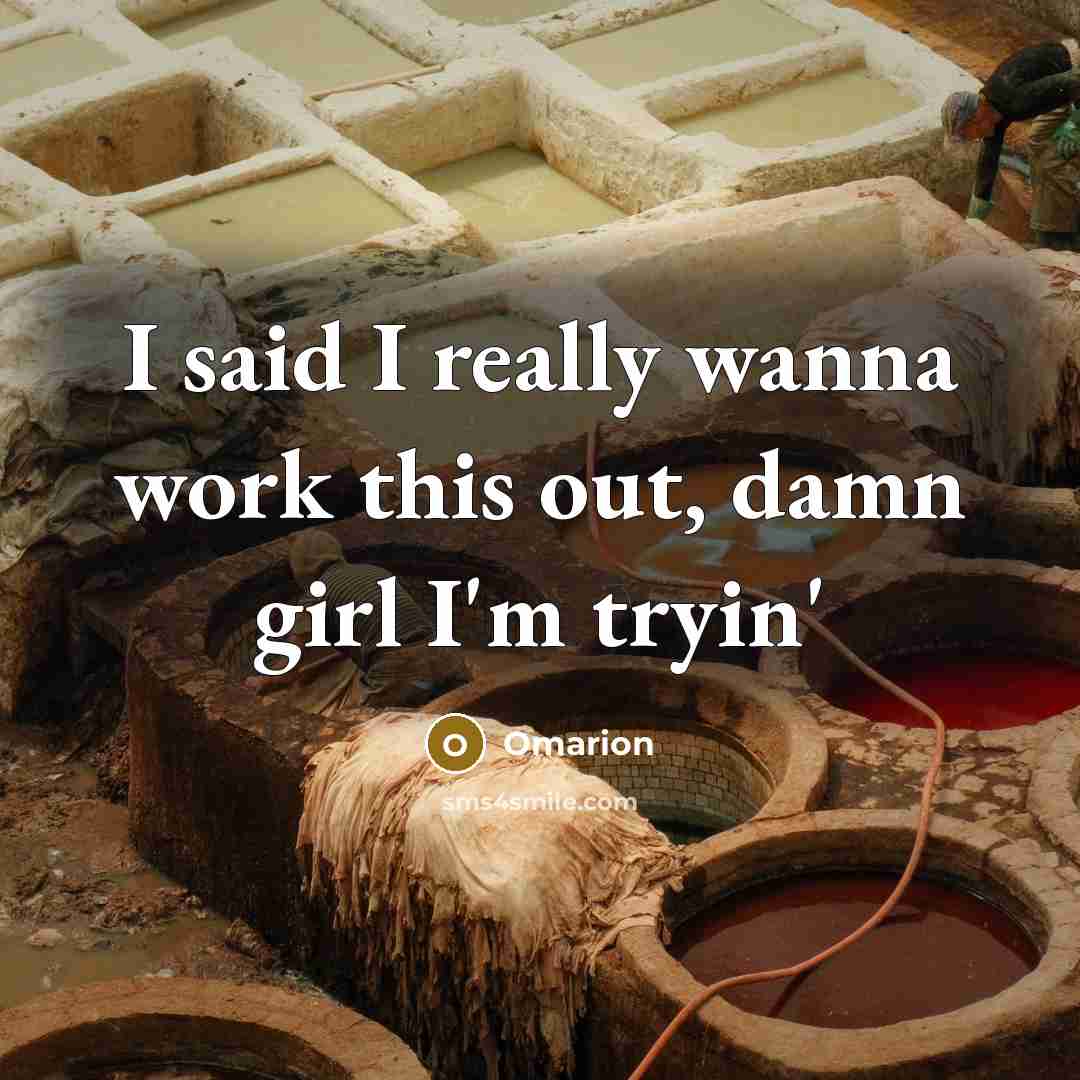 “I said I really wanna work this out, damn girl…” quote by Omarion