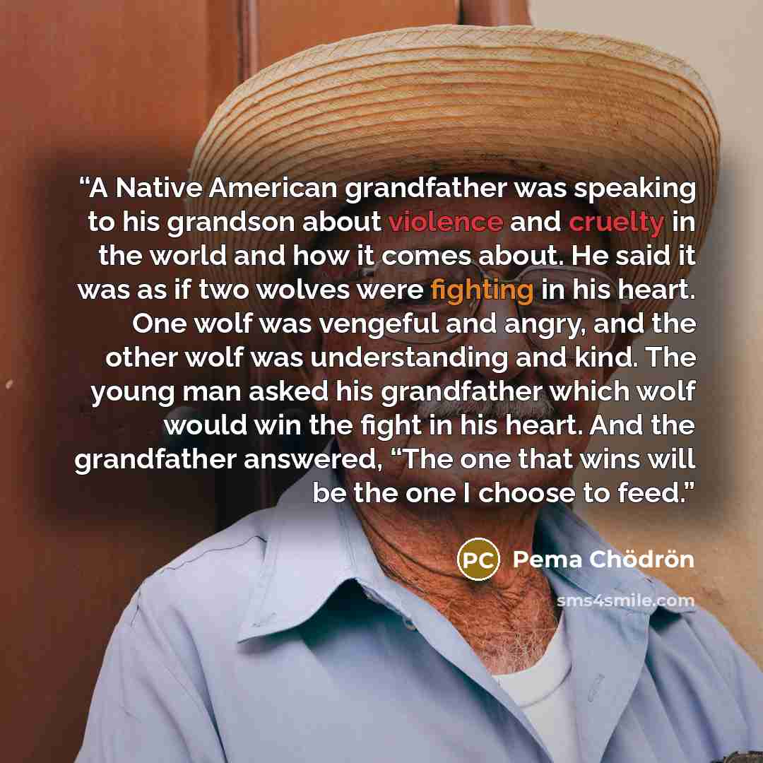 “A Native American grandfather was speaking to his grandson about violence and cruelty in the world and how it comes about. He said it was as if two wolves were fighting in his heart. One wolf was vengeful and angry, and the other wolf was understanding and kind. The young man asked his grandfather…” quote by Pema Chödrön