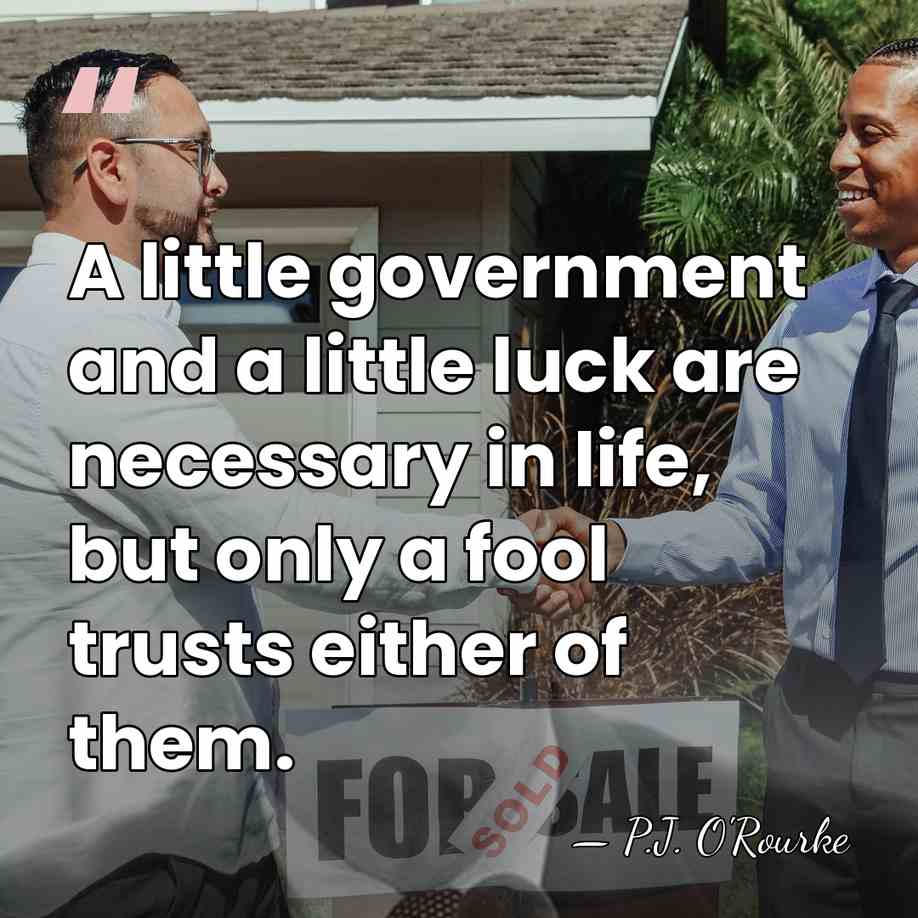 A little government and a little luck are necessary in life, but&hellip; - P.J. O'Rourke