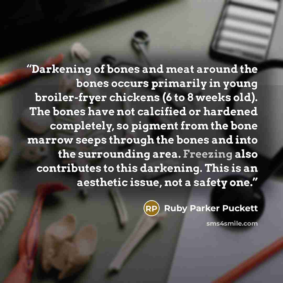 “Darkening of bones and meat around the bones occurs primarily in young broiler-fryer chickens (6 to 8 weeks old). The bones have not calcified or hardened completely, so pigment from the bone marrow seeps through the bones and into the surrounding area. Freezing also contributes to this darkening…” quote by Ruby Parker Puckett
