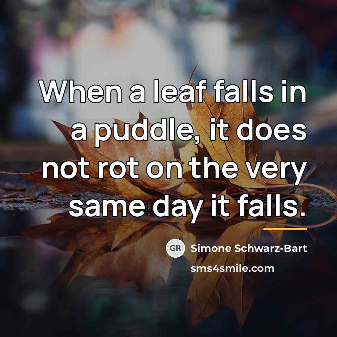 “When a leaf falls in a puddle, it does not…” quote by Simone Schwarz-Bart