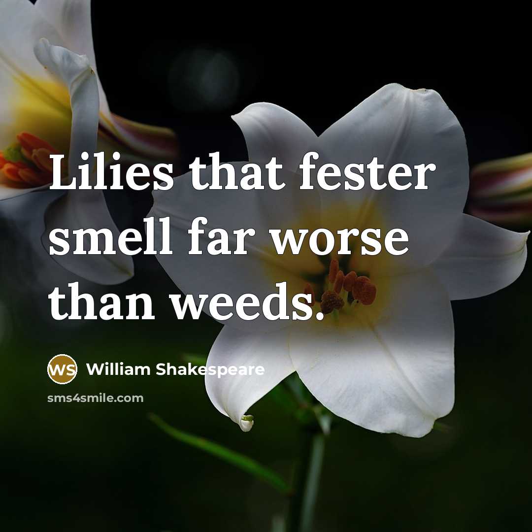 “Lilies that fester smell far worse than weeds.…” quote by William Shakespeare