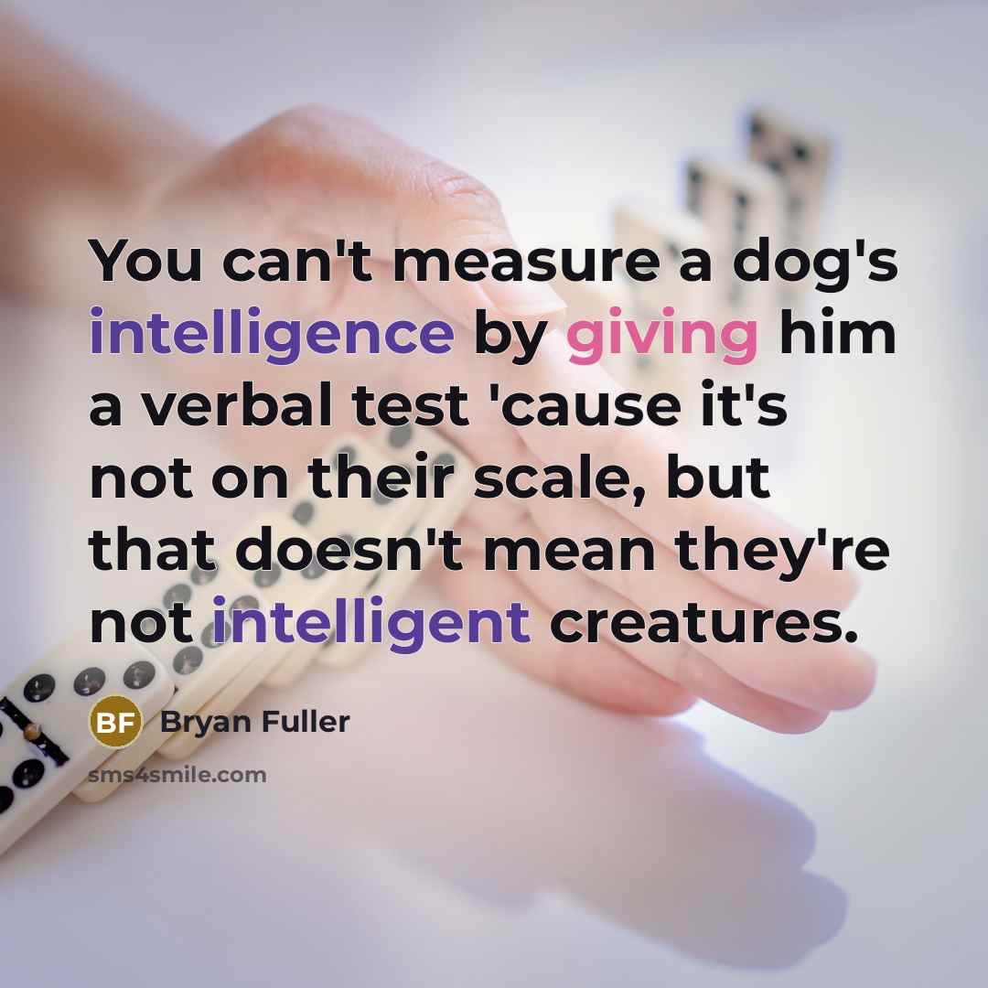 “You can't measure a dog's intelligence by giving him a verbal test 'cause it's not on their scale, but that doesn't mean they're not intelligent creatures.” quote by Bryan Fuller