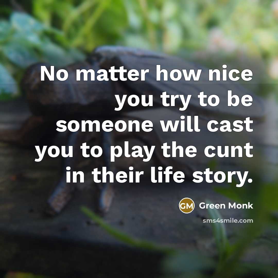 “No matter how nice you try to be someone will cast you to play the cunt in their life story.” quote by Green Monk