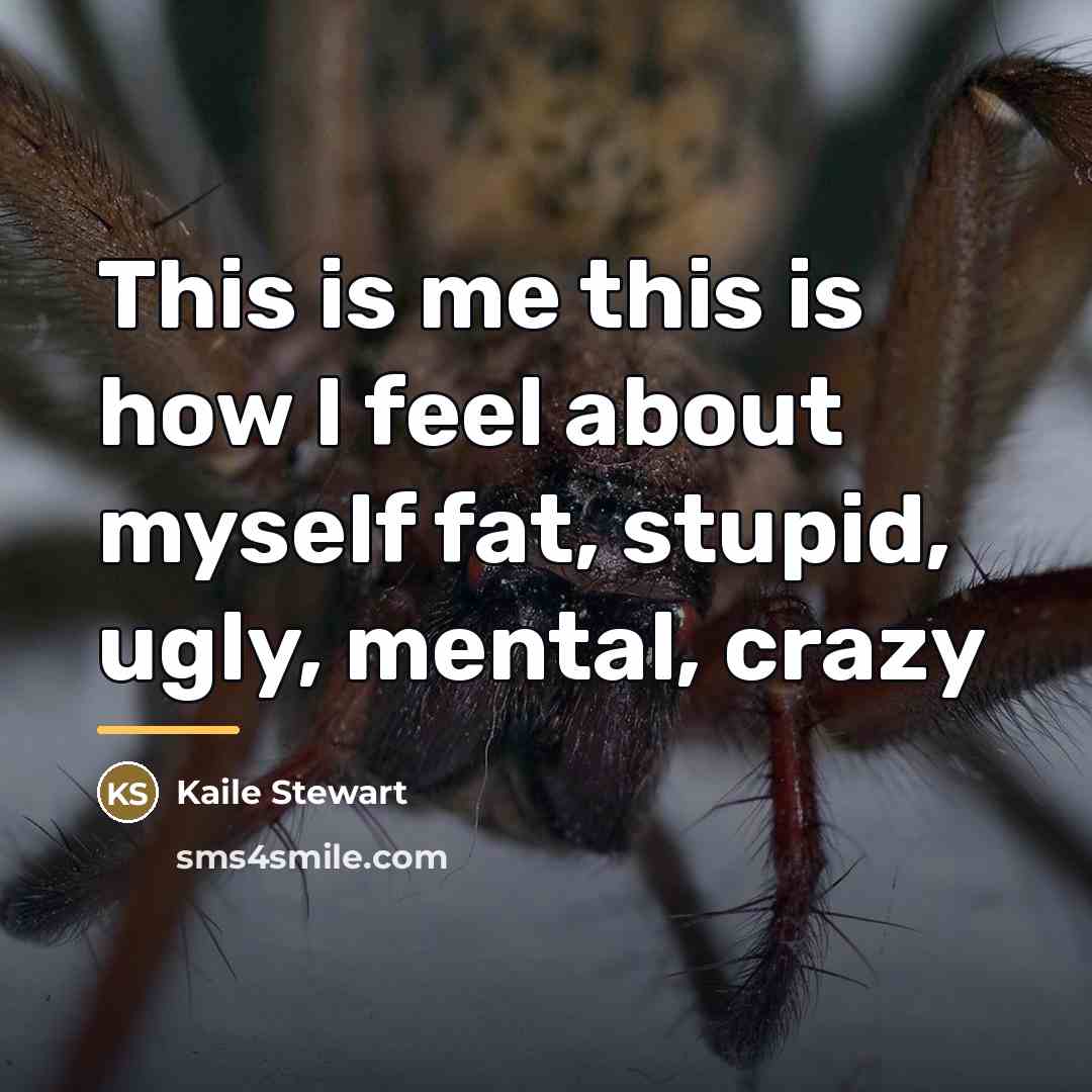 “This is me this is how I feel about myself…” quote by Kaile Stewart