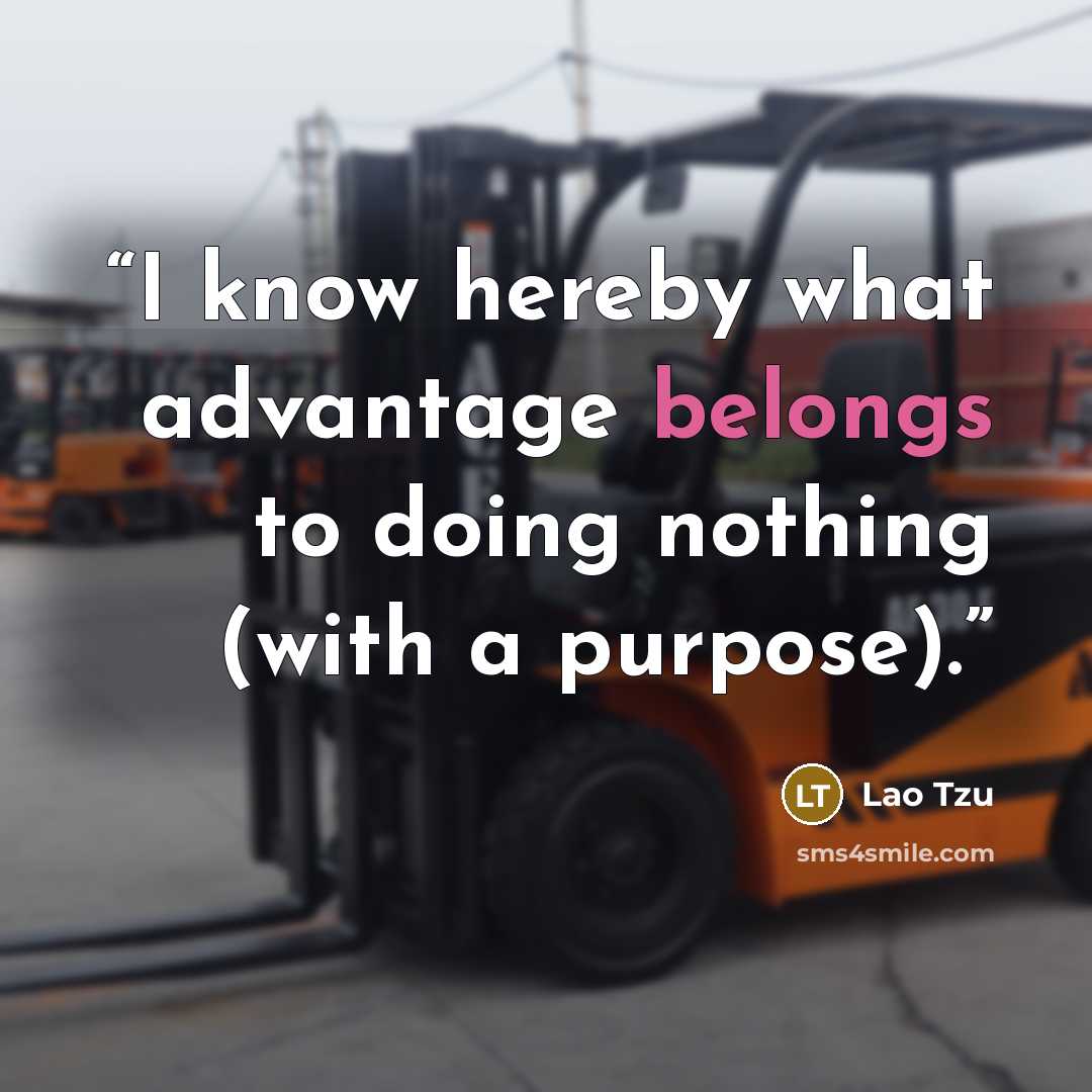 “I know hereby what advantage belongs to doing nothing (with a purpose).” quote by Lao Tzu