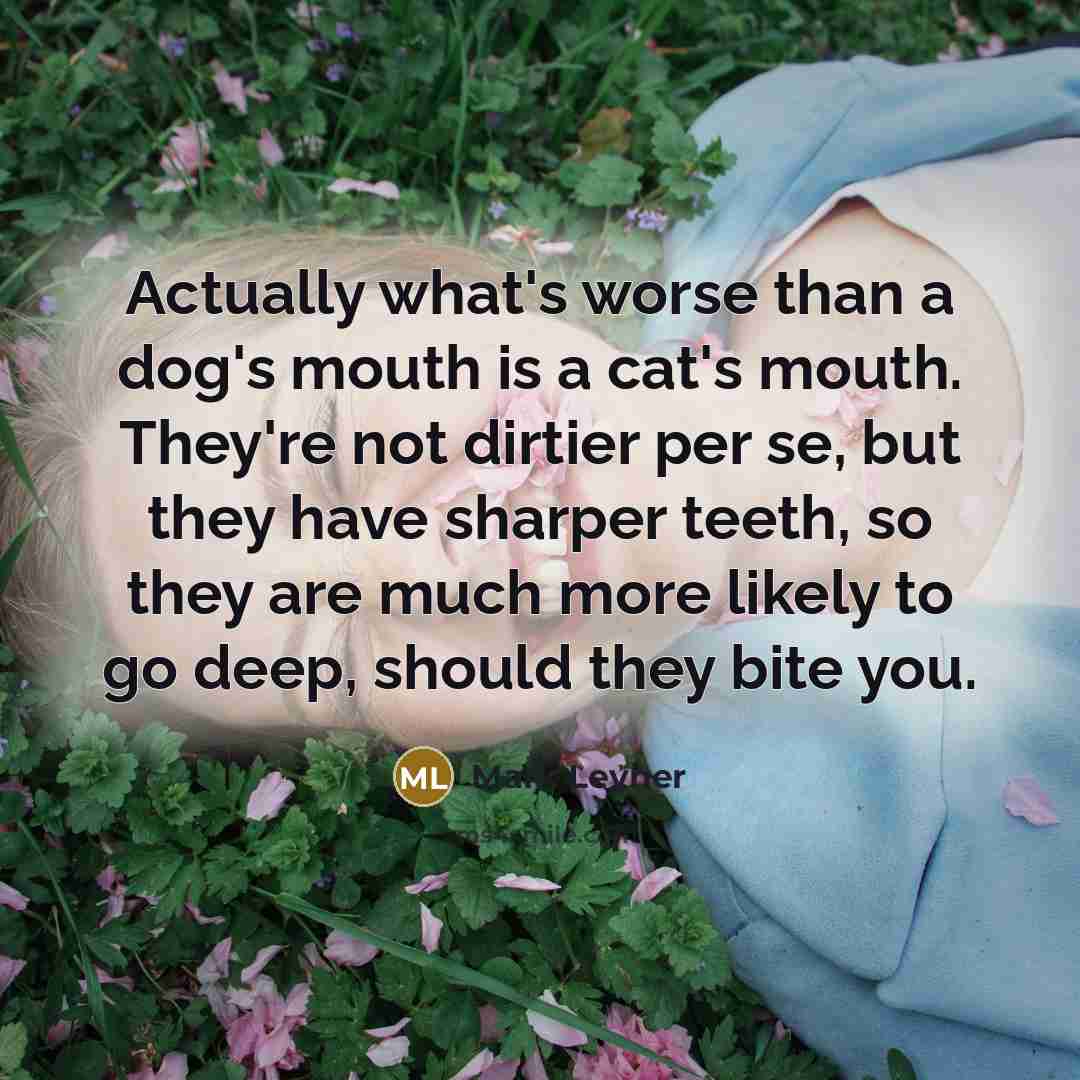 “Actually what's worse than a dog's mouth is a cat's…” quote by Mark Leyner