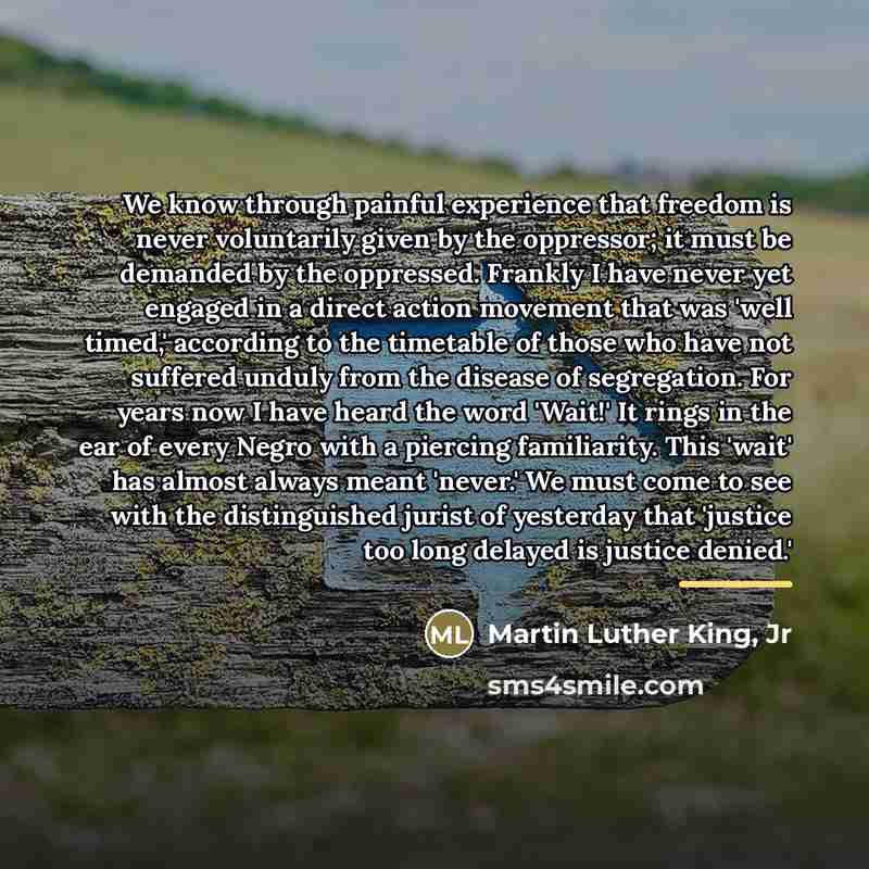 “We know through painful experience that freedom is never voluntarily…” quote by Martin Luther King, Jr