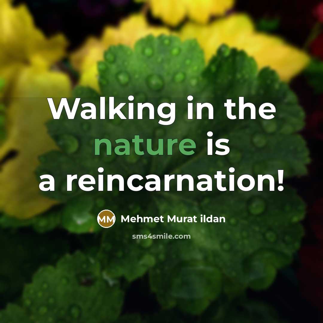 “Walking in the nature is a reincarnation!…” quote by Mehmet Murat Ildan