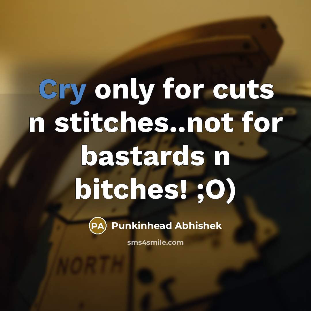 “Cry only for cuts n stitches..not for bastards n bitches!…” quote by Punkinhead Abhishek