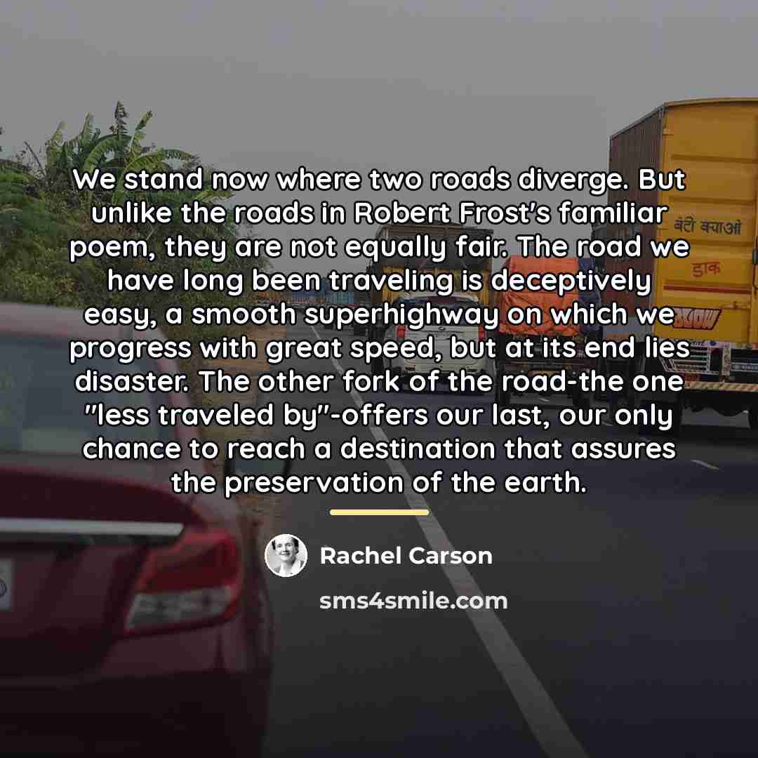 “We stand now where two roads diverge. But unlike the…” quote by Rachel Carson