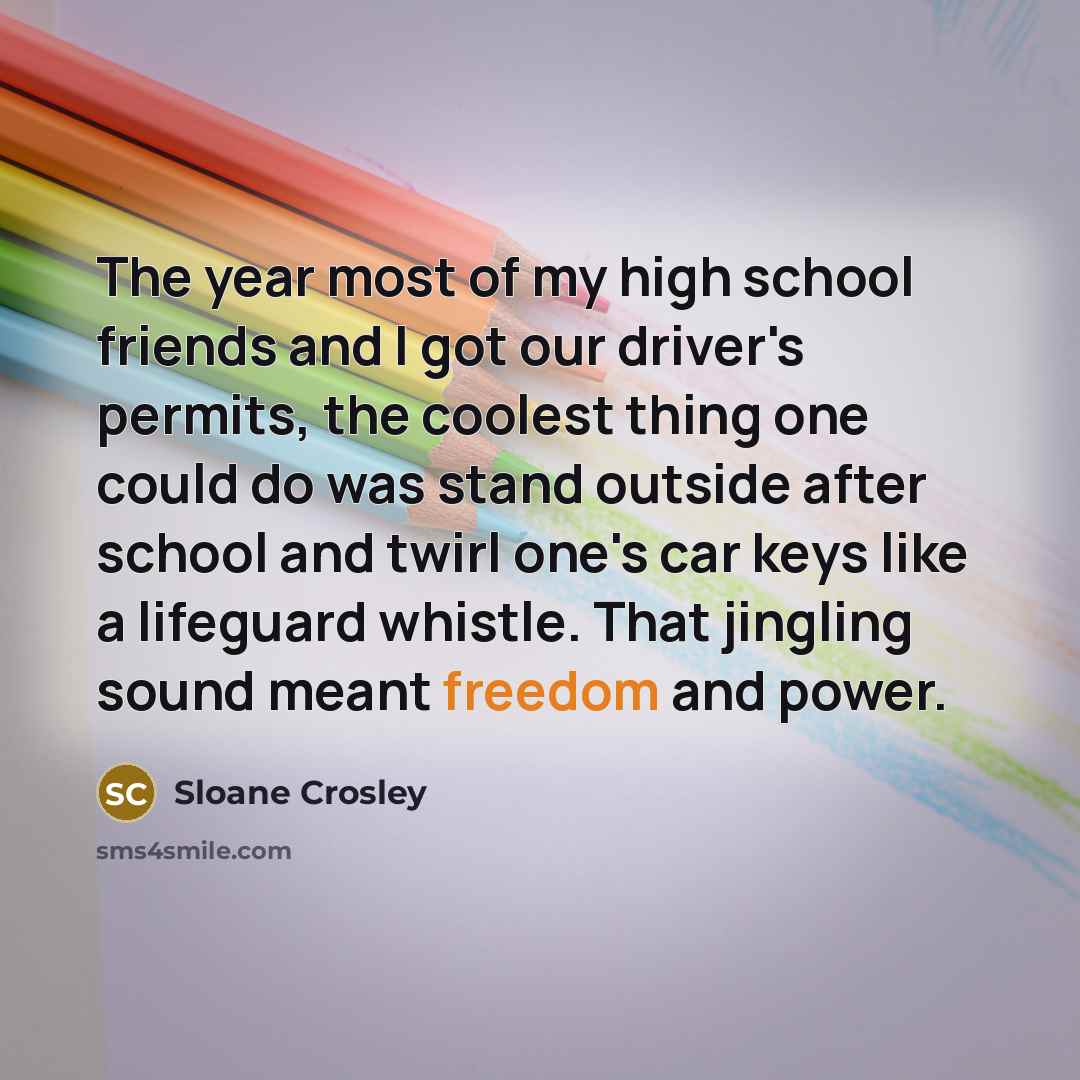 “The year most of my high school friends and I…” quote by Sloane Crosley