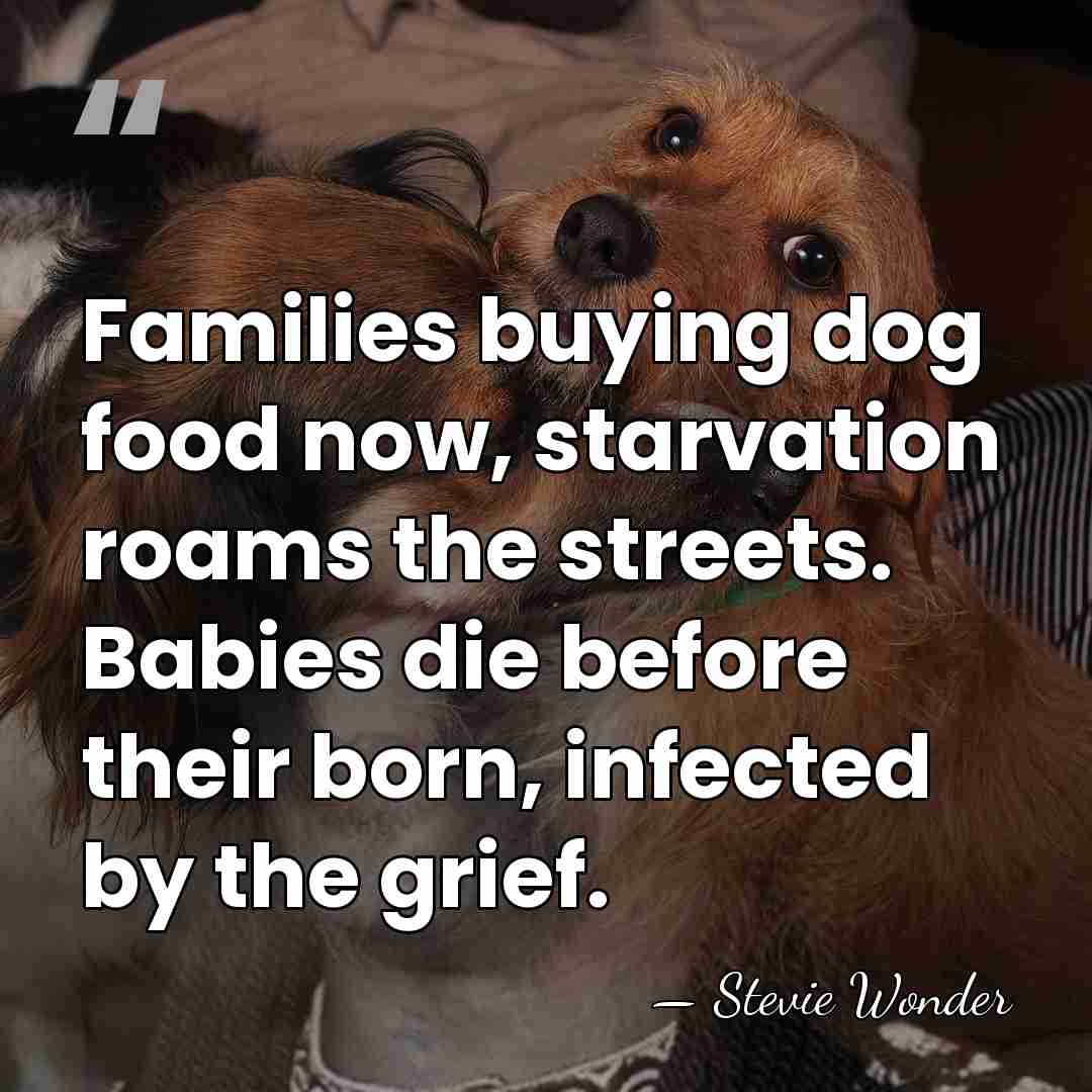Families buying dog food now, starvation roams the streets. Babies die before&hellip; - Stevie Wonder