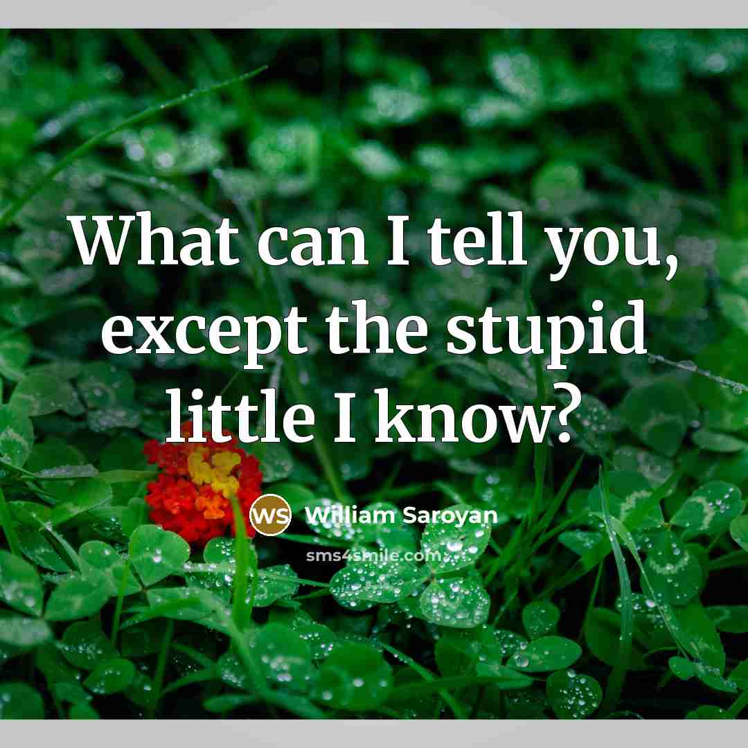 “What can I tell you, except the stupid little I know?” quote by William Saroyan