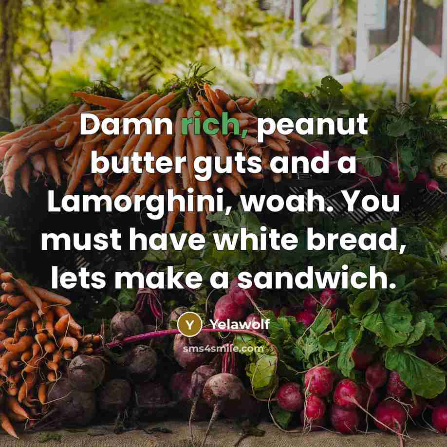 “Damn rich, peanut butter guts and a Lamorghini, woah. You must have white bread, lets make a sandwich.” quote by Yelawolf