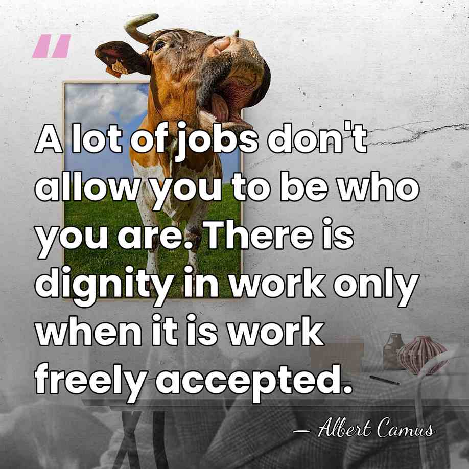 A lot of jobs don't allow you to be who you are.&hellip; - Albert Camus