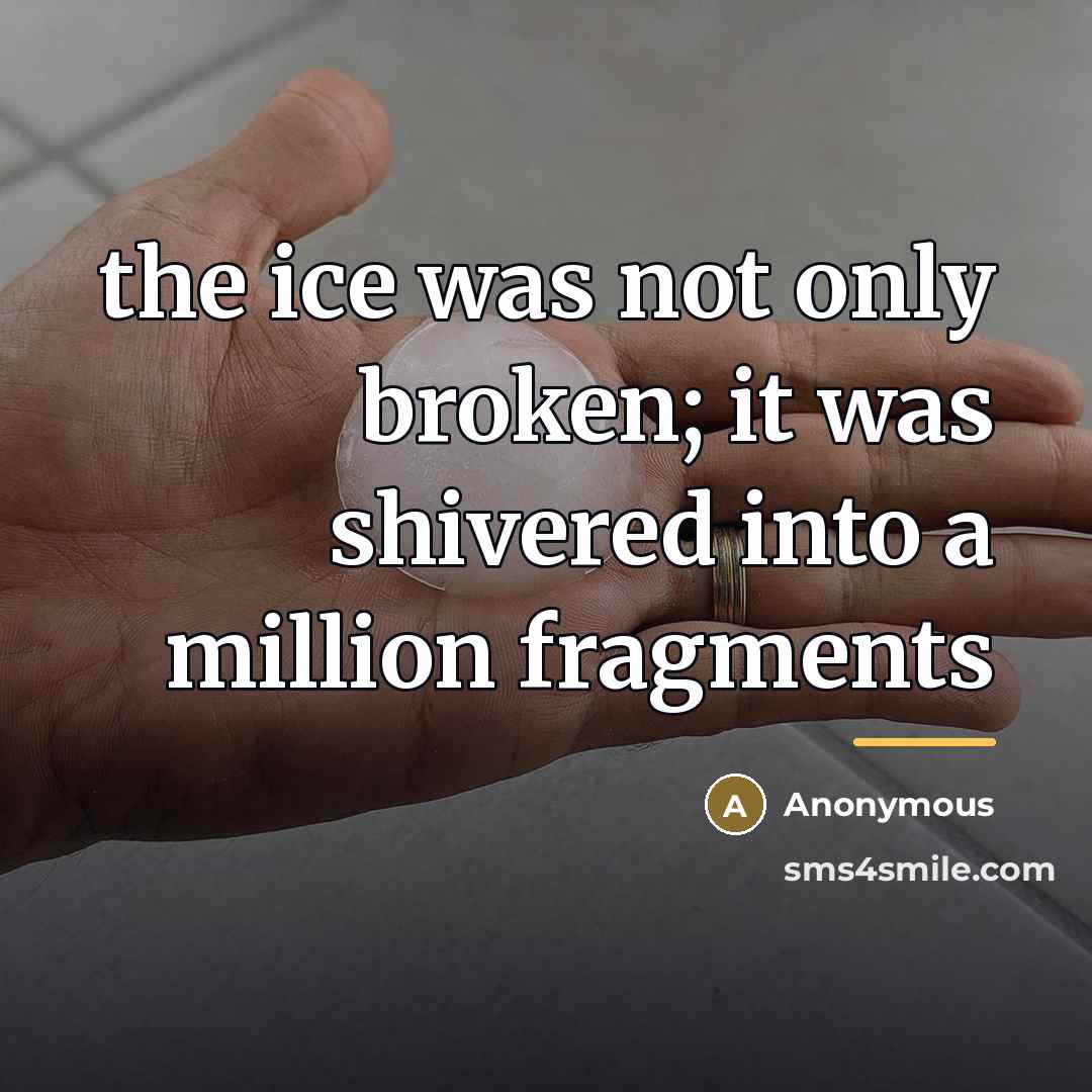 “the ice was not only broken; it was shivered into…” quote by Anonymous