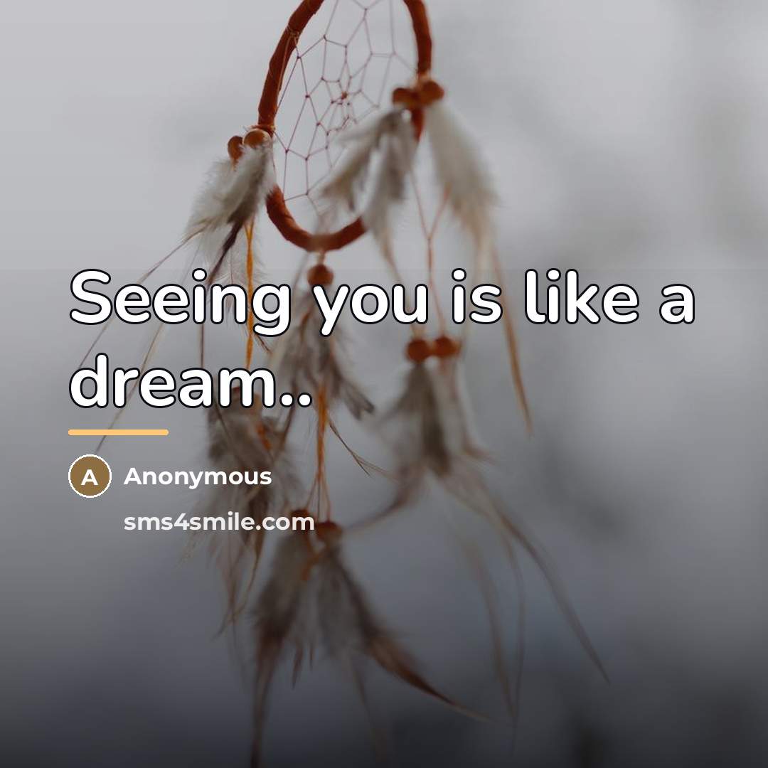 “Seeing you is like a dream..…” quote by Anonymous
