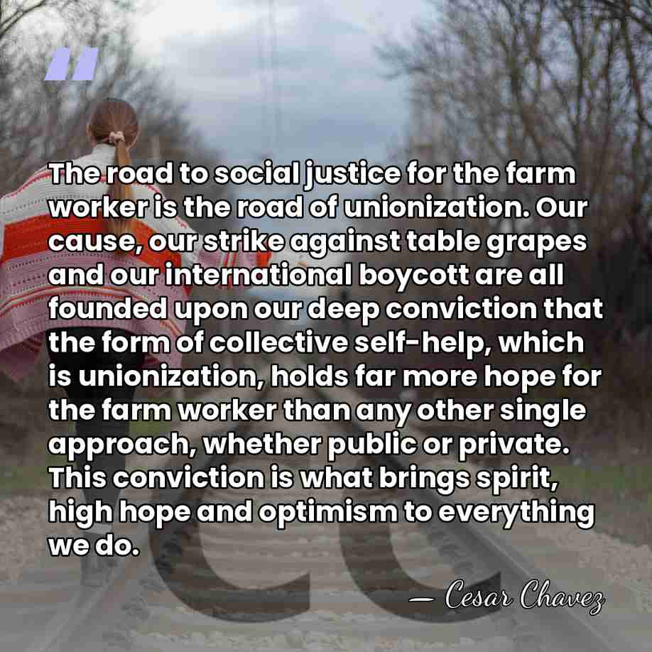 The road to social justice for the farm worker is the road&hellip; - Cesar Chavez