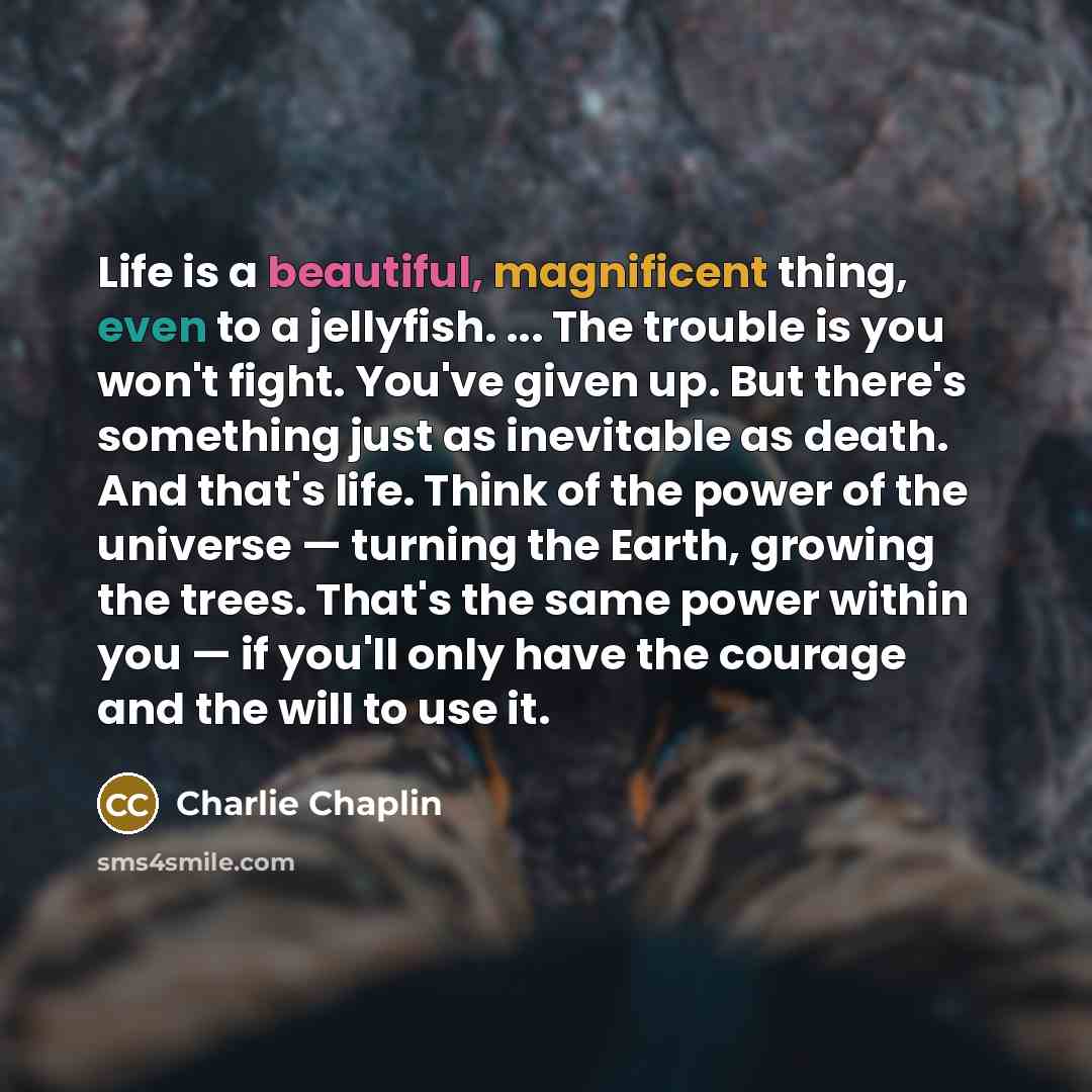 “Life is a beautiful, magnificent thing, even to a jellyfish.…” quote by Charlie Chaplin