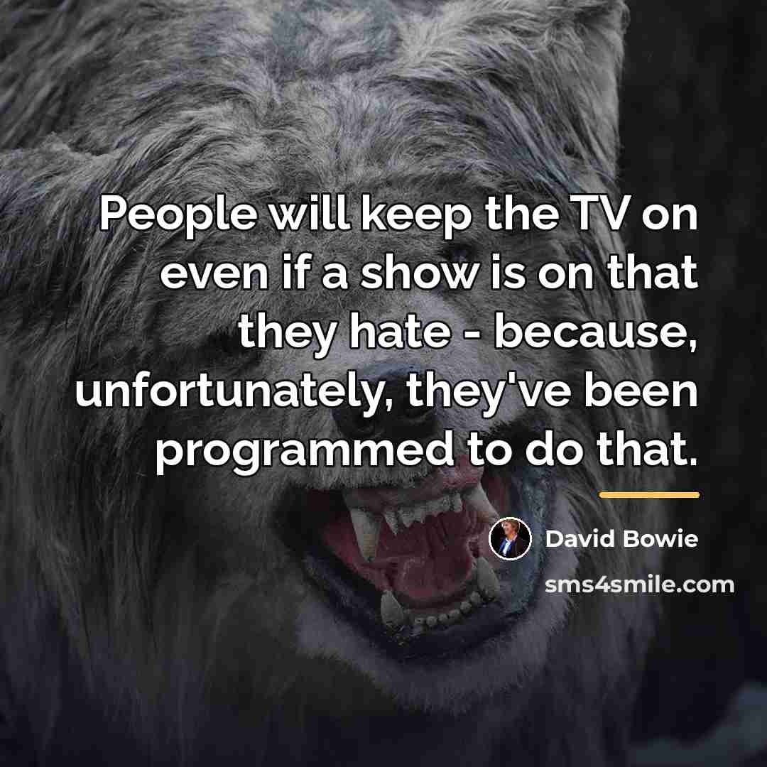 “People will keep the TV on even if a show…” quote by David Bowie