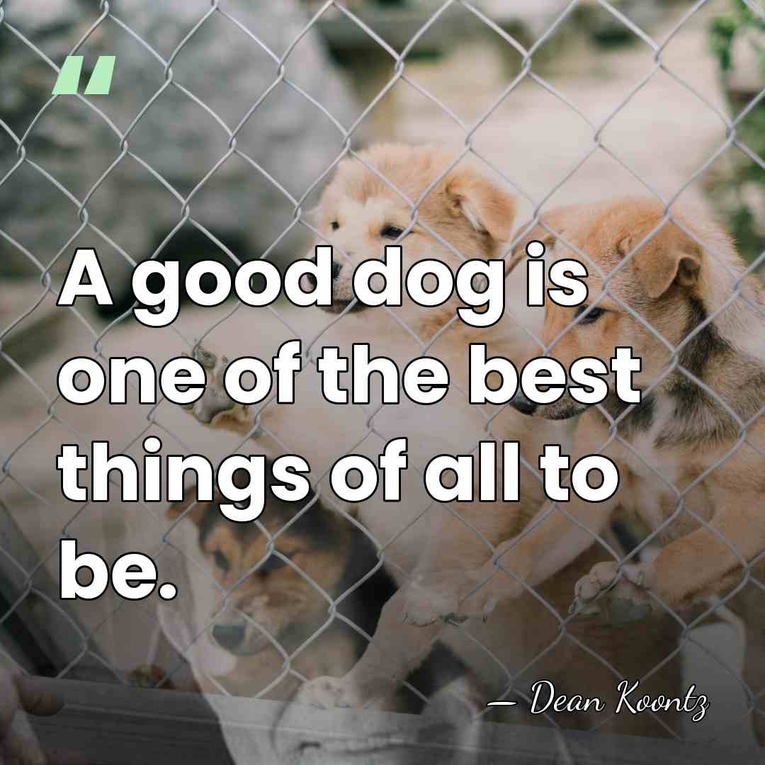 A good dog is one of the best things of all to&hellip; - Dean Koontz