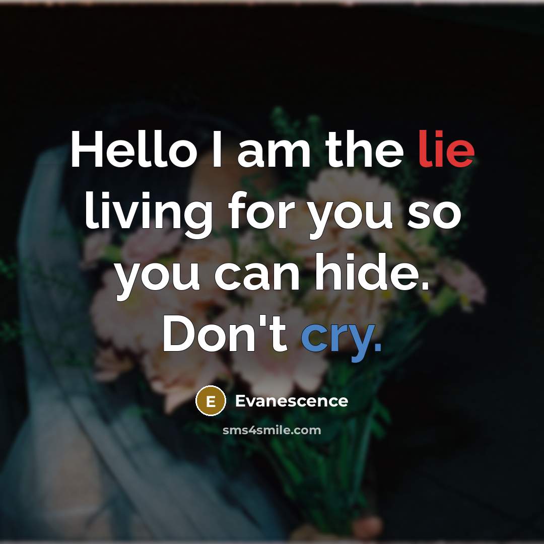 “Hello I am the lie living for you so you can hide. Don't cry.” quote by Evanescence