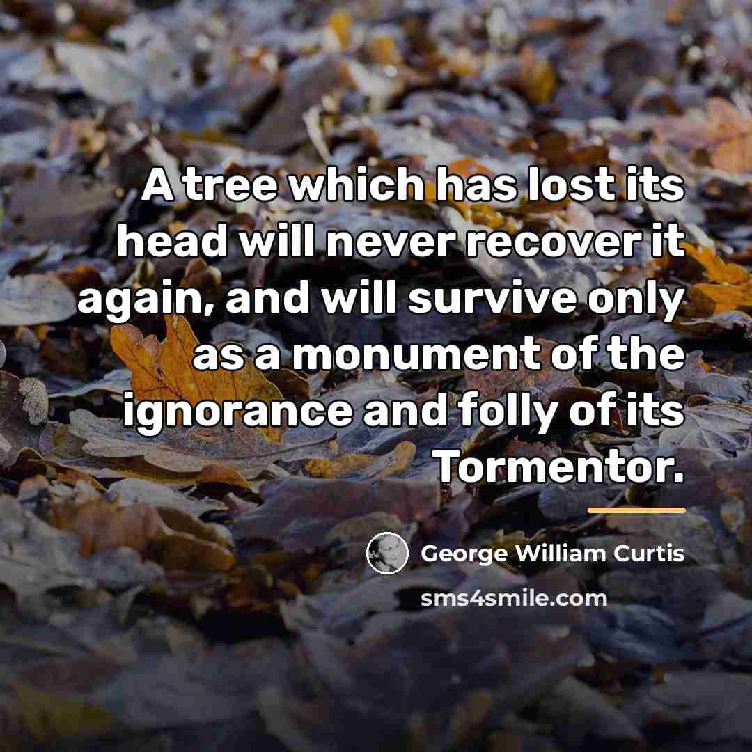 “A tree which has lost its head will never recover…” quote by George William Curtis