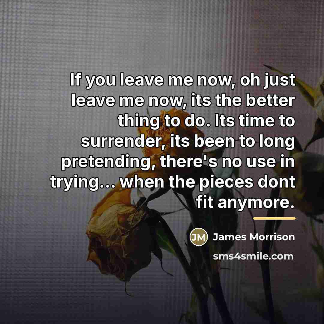 “If you leave me now, oh just leave me now,…” quote by James Morrison