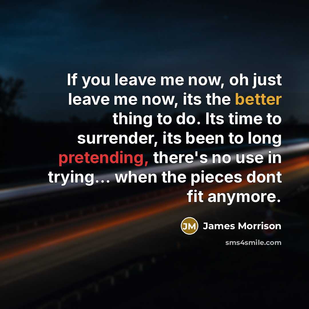 “If you leave me now, oh just leave me now, its the better thing to do. Its time to surrender, its been to long pretending, there's no use in trying... when the pieces dont fit anymore.” quote by James Morrison