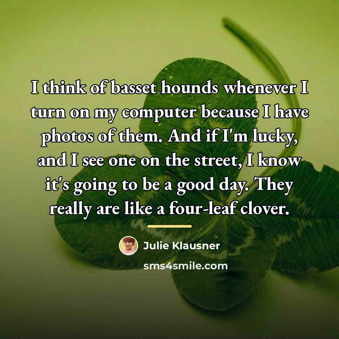“I think of basset hounds whenever I turn on my…” quote by Julie Klausner