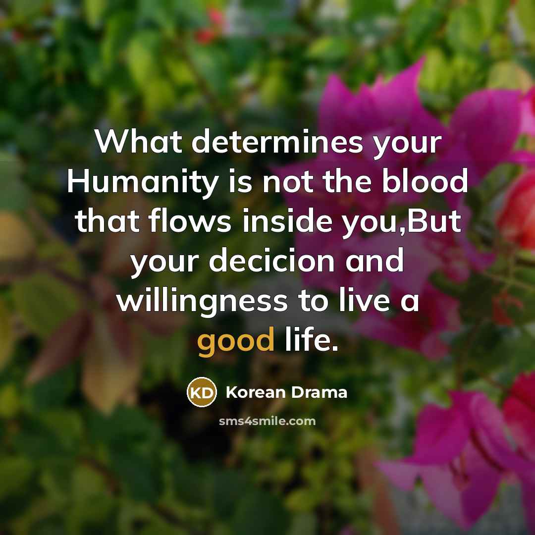 “What determines your Humanity is not the blood that flows…” quote by Korean Drama