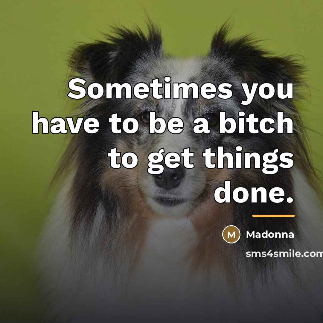 “Sometimes you have to be a bitch to get things…” quote by Madonna