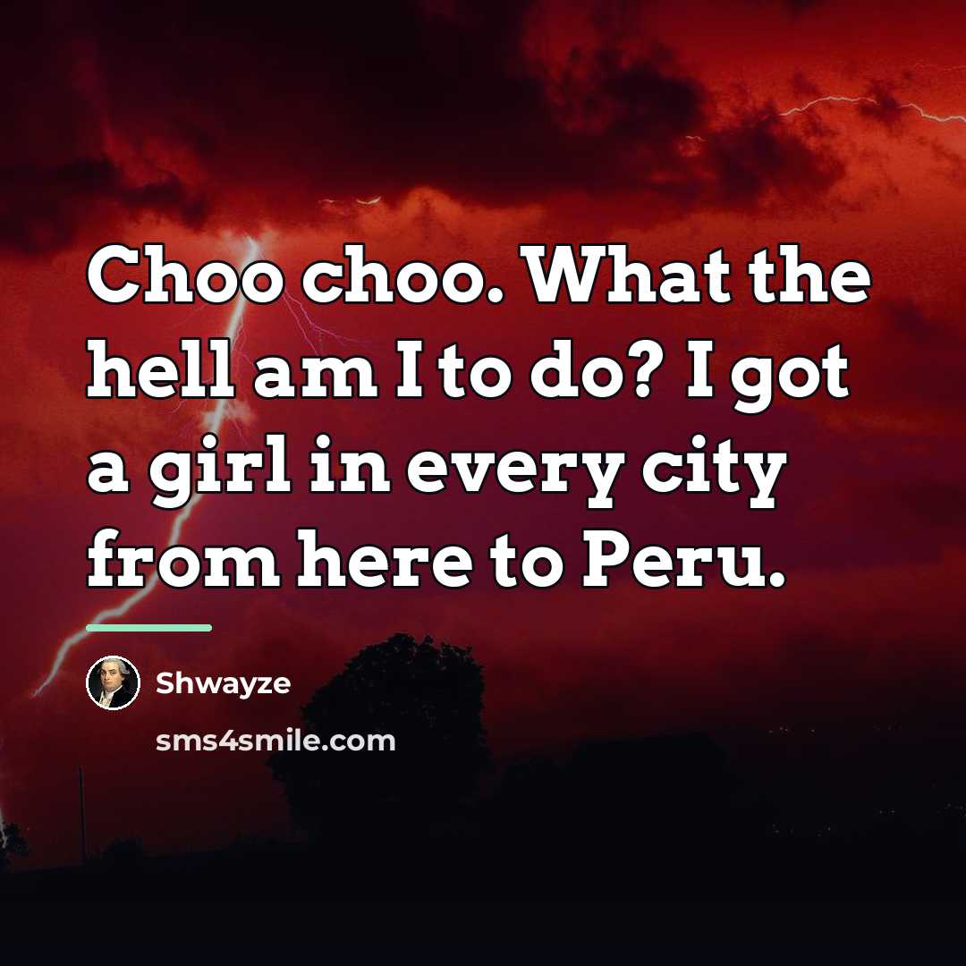 “Choo choo. What the hell am I to do? I…” quote by Shwayze
