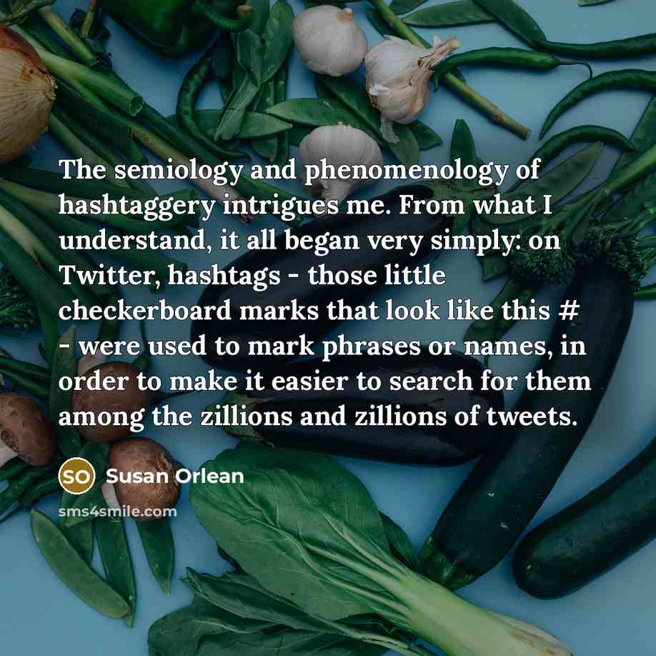 “The semiology and phenomenology of hashtaggery intrigues me. From what…” quote by Susan Orlean