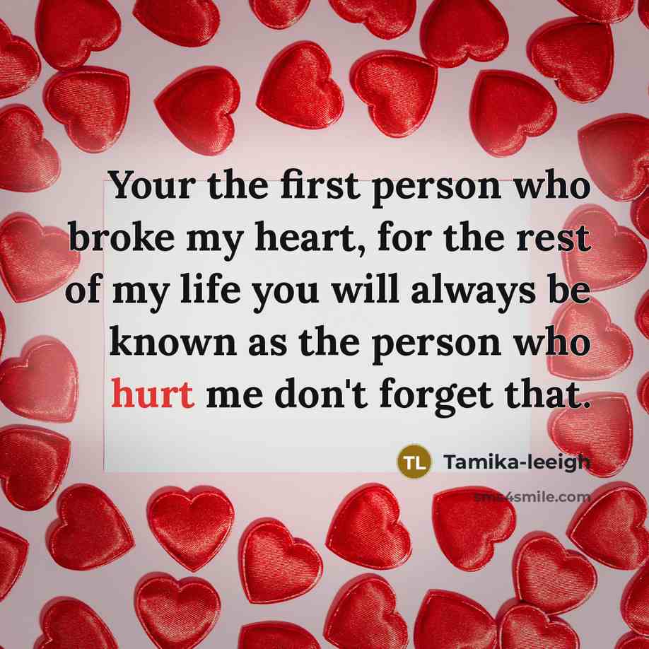 “Your the first person who broke my heart, for the rest of my life you will always be known as the person who hurt me don't forget that.” quote by Tamika-leeigh