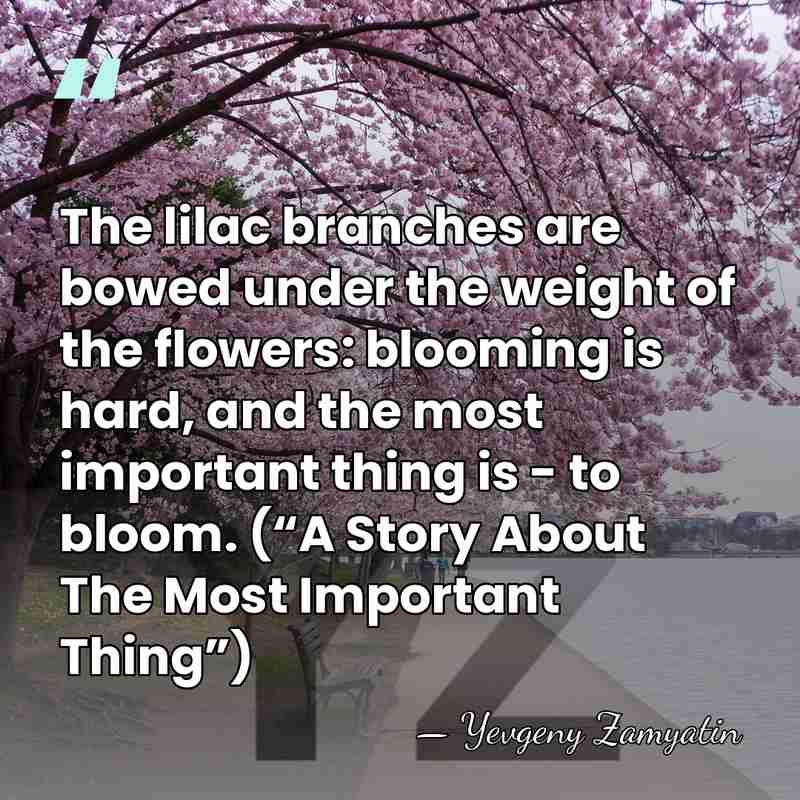 The lilac branches are bowed under the weight of the flowers: blooming&hellip; - Yevgeny Zamyatin