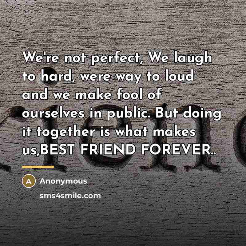 “We're not perfect, We laugh to hard, were way to…” quote by Anonymous