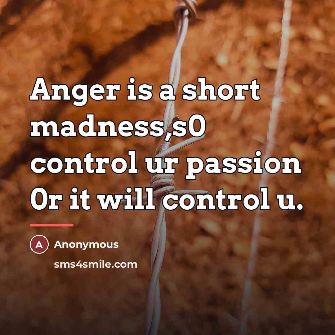 “Anger is a short madness,s0 control ur passion 0r it…” quote by Anonymous