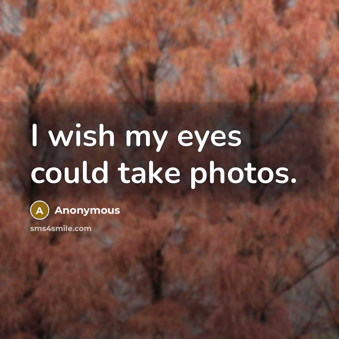 “I wish my eyes could take photos.…” quote by Anonymous